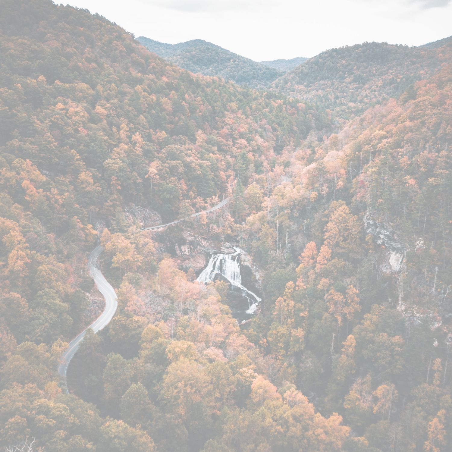 North Carolina